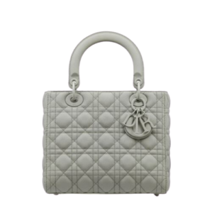 Dior metallic gray calfskin